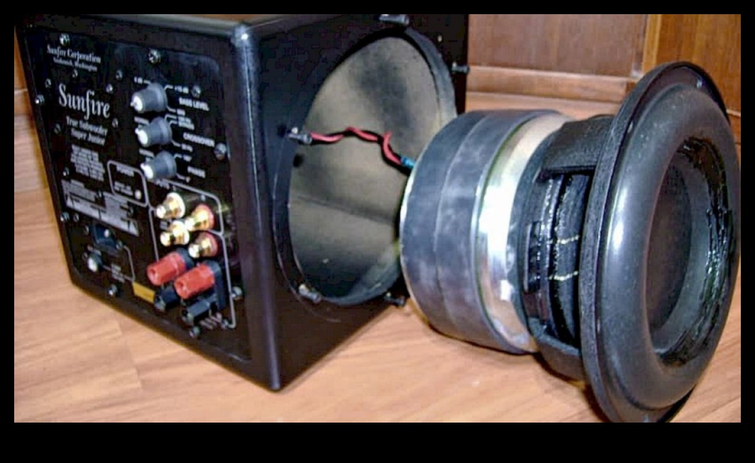 Bas Düşüşleri ve Vuruşlar: Derin Rezonans için Subwoofer'lar ve Elektronikler